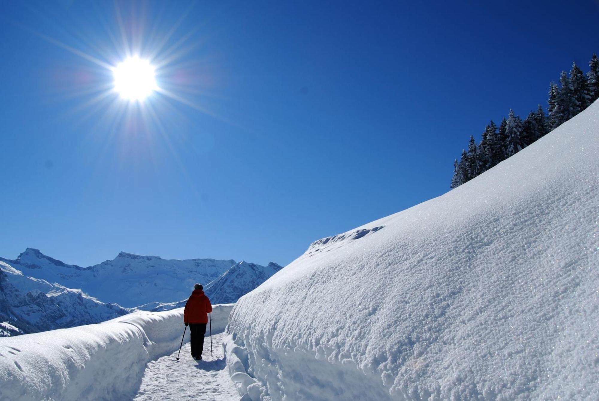 Bellevue Parkhotel&spa - Relais&châteaux Hotel Adelboden